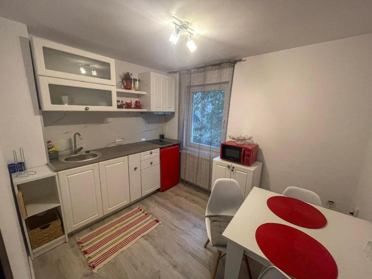 Buzz Apartment كلوج-نابوكا المظهر الخارجي الصورة