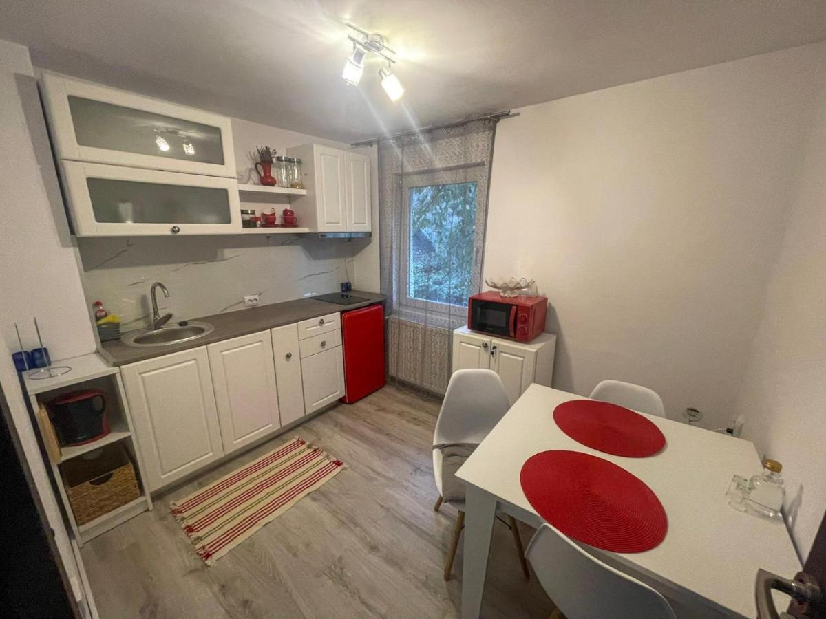 Buzz Apartment كلوج-نابوكا المظهر الخارجي الصورة
