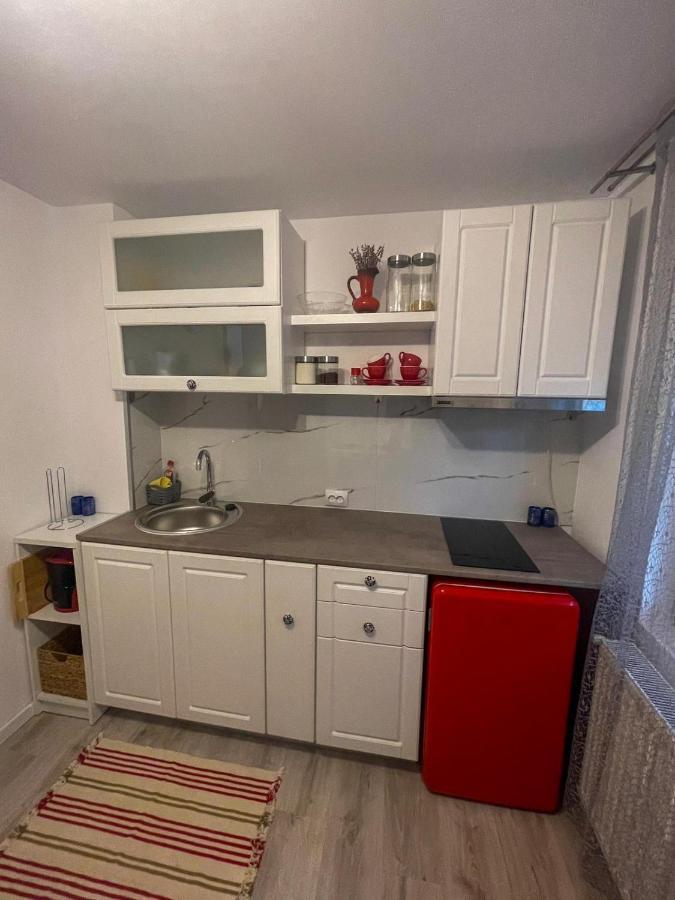Buzz Apartment كلوج-نابوكا المظهر الخارجي الصورة